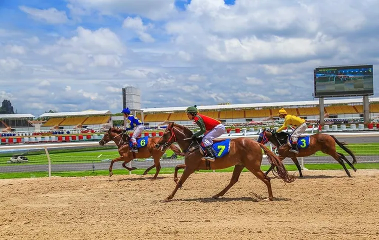 Cá Cược Đua Ngựa Bong88: Hướng Dẫn Đặt Cược Chuẩn Xác Cho Người Mới