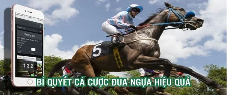 Đua Ngựa BONGVIP: Bí Ẩn Thú Vị Chờ Bạn Khám Phá Trong Từng Ván Cược